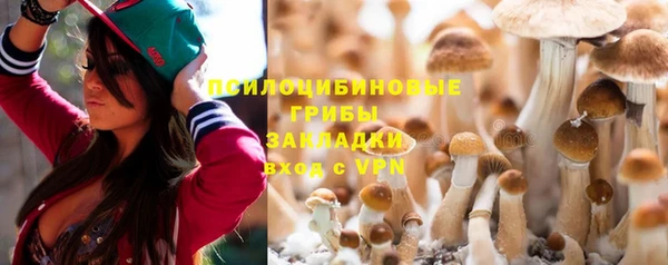 a pvp Володарск