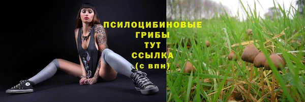 a pvp Володарск